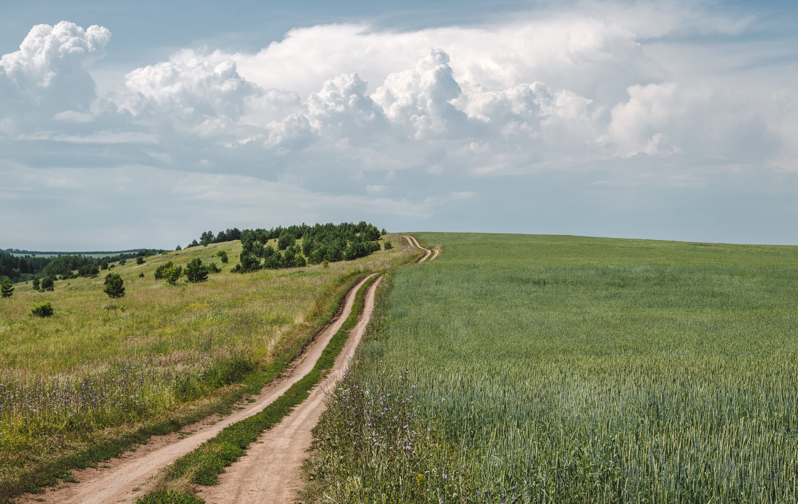 Easements in Washington: Rights of Way, Utilities, and Shared Driveways Explained