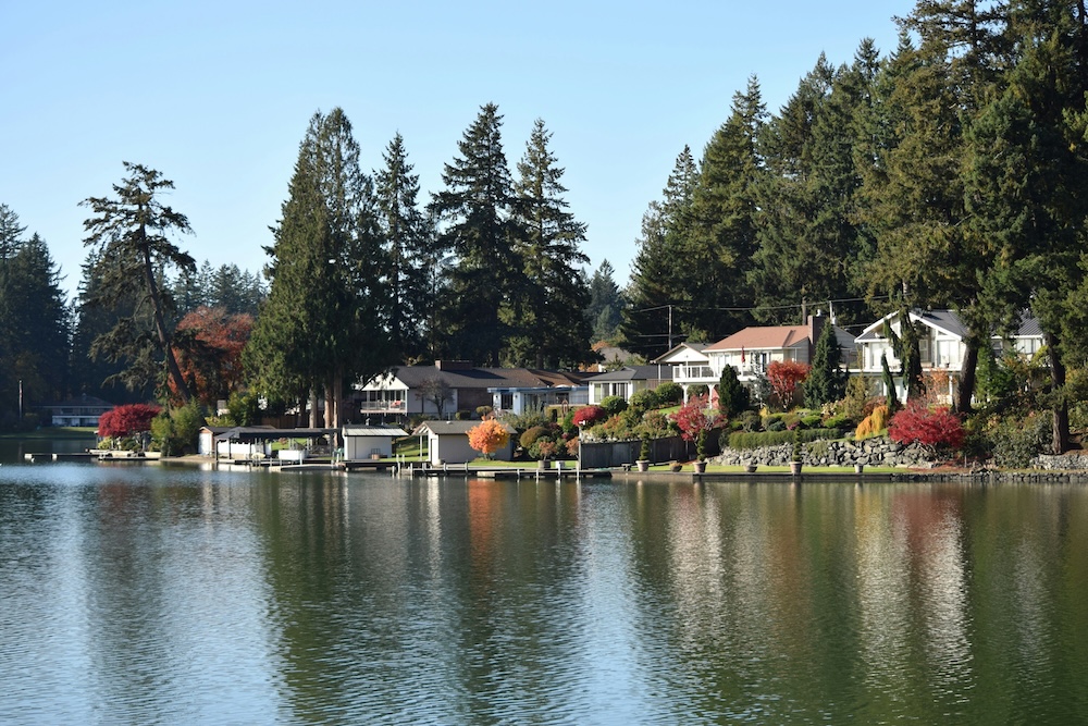 Fr0ggy5 x5 xggcwj18 unsplash